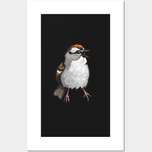 Chipping Sparrow Posters and Art